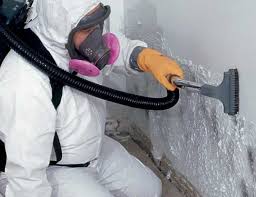 Best Industrial Mold Remediation  in Waynesburg, OH